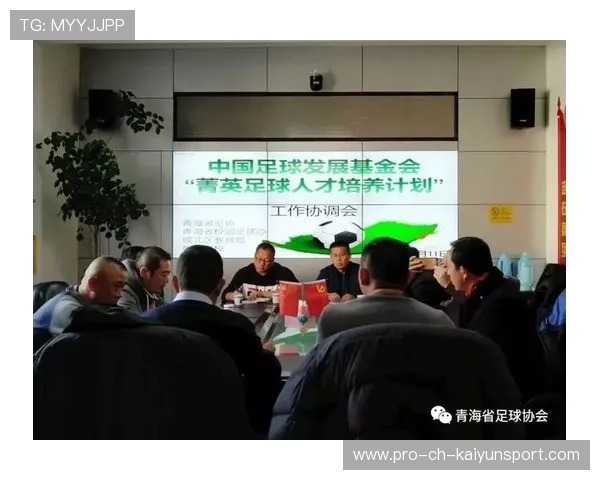 足球专项基金投入基层设施改造工程,足球专项资金使用方案